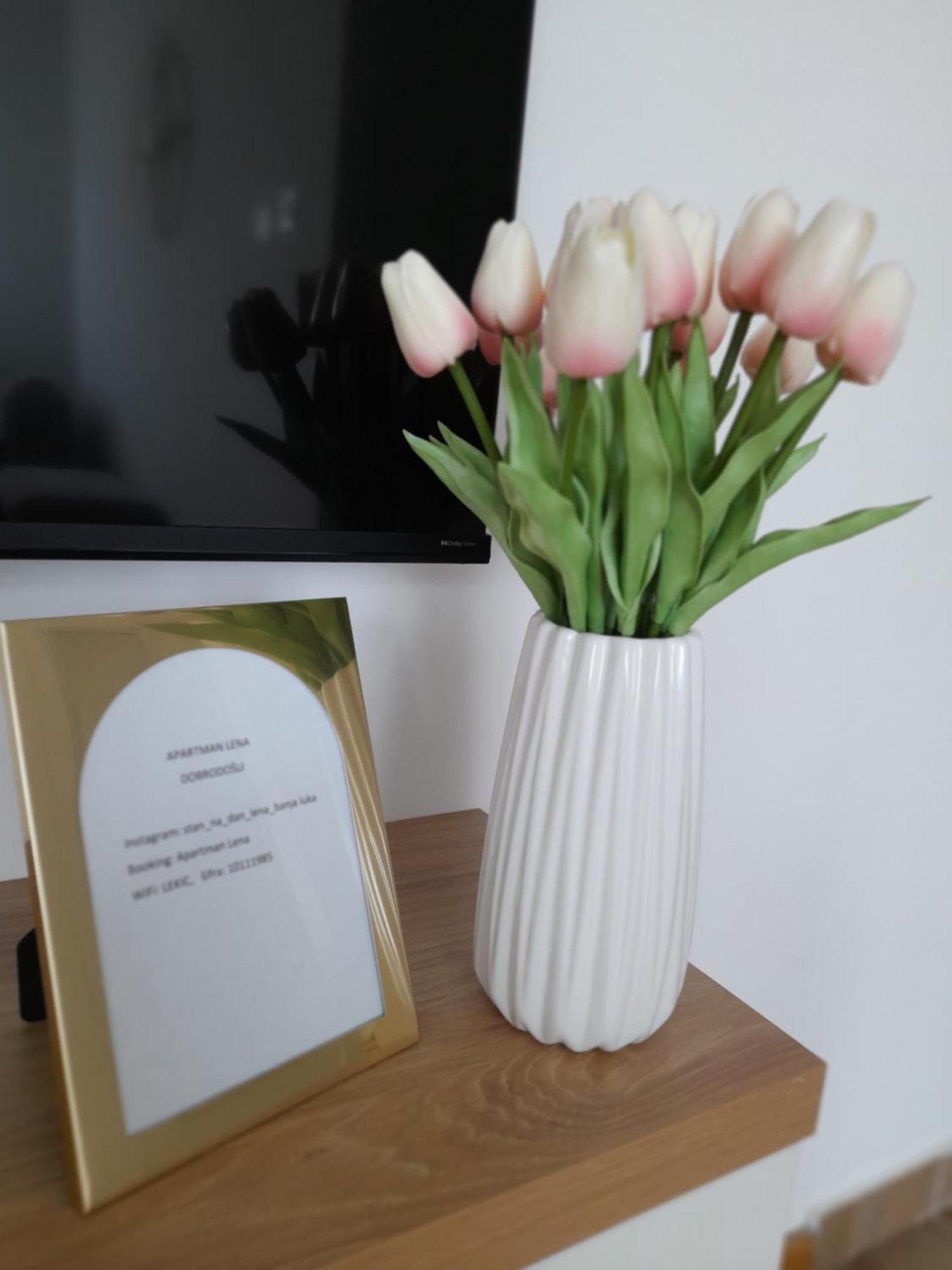 Apartman Lena Μπάνια Λούκα Εξωτερικό φωτογραφία